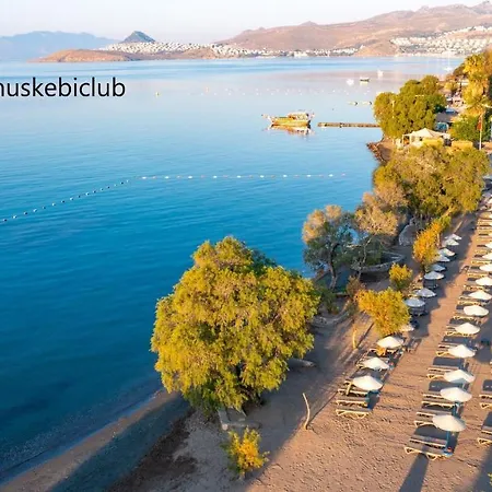Villa Ortakent Luxury Private With Pool Bodrum